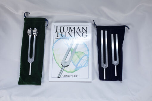 Beginner’s Special – “The Body Tuners”, “The Otto 128” and the book “Human Tuning”