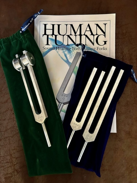 Beginner’s Special – “The Body Tuners”, “The Otto 128” and the book “Human Tuning”
