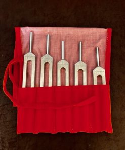 Asteroid Tuning Fork – “Set of 5” (now with Green pouch)