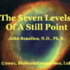 The Seven Levels Of A Still Point (Digital Download)