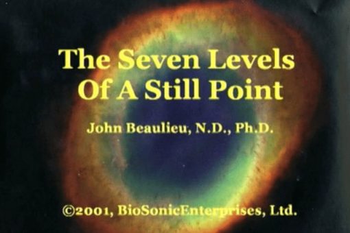 The Seven Levels Of A Still Point (Digital Download)