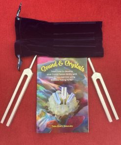 Sound & Crystals book and Body Tuner set- Special