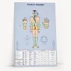 Polarity Therapy Wall Chart on a clean BioSonics studio background