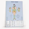 Polarity Therapy Wall Chart on a clean BioSonics studio background