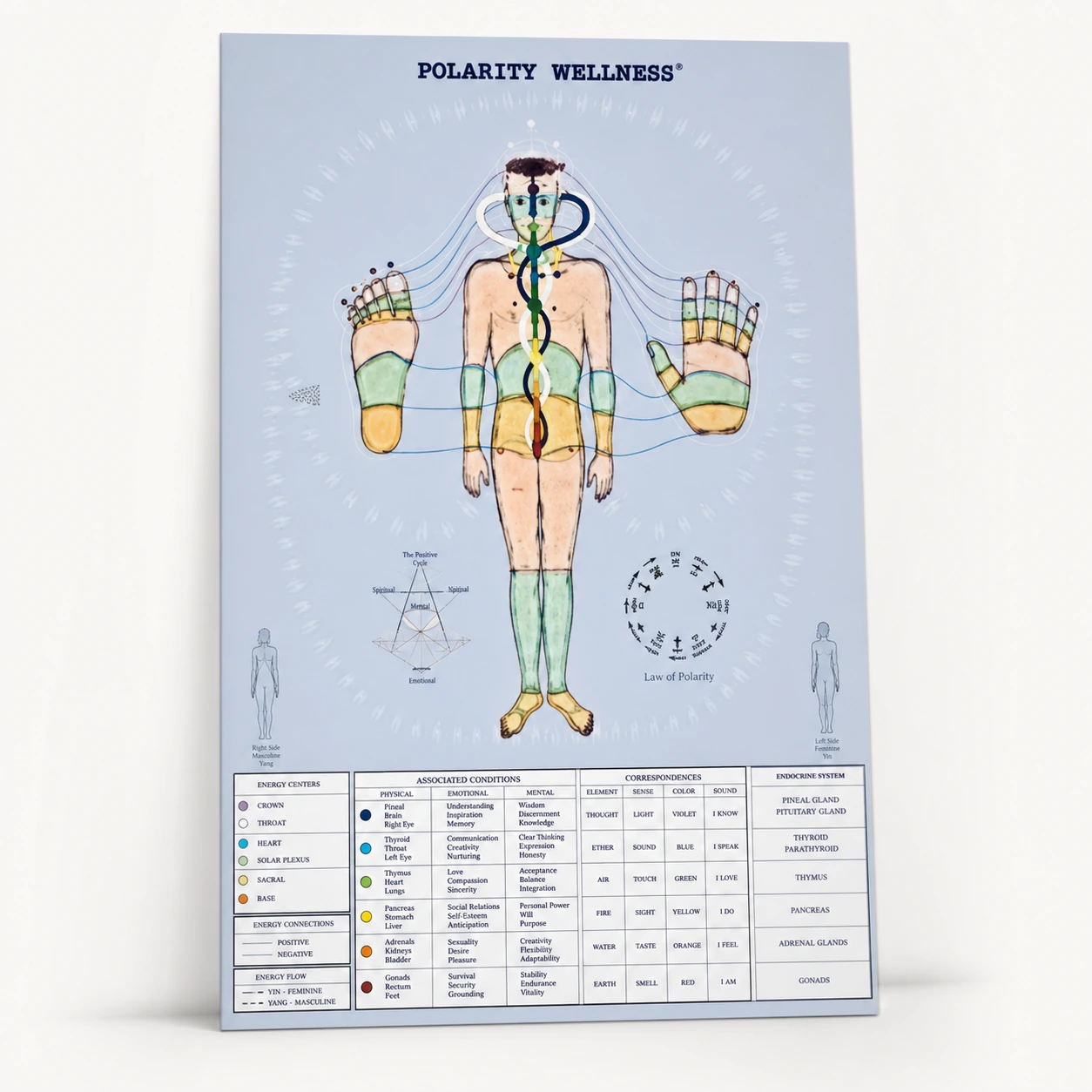 Polarity Therapy Wall Chart