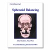 Sphenoid Evaluation (Digital Download) on a clean BioSonics studio background
