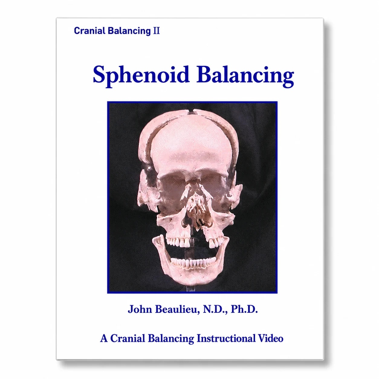 Sphenoid Evaluation (Digital Download)