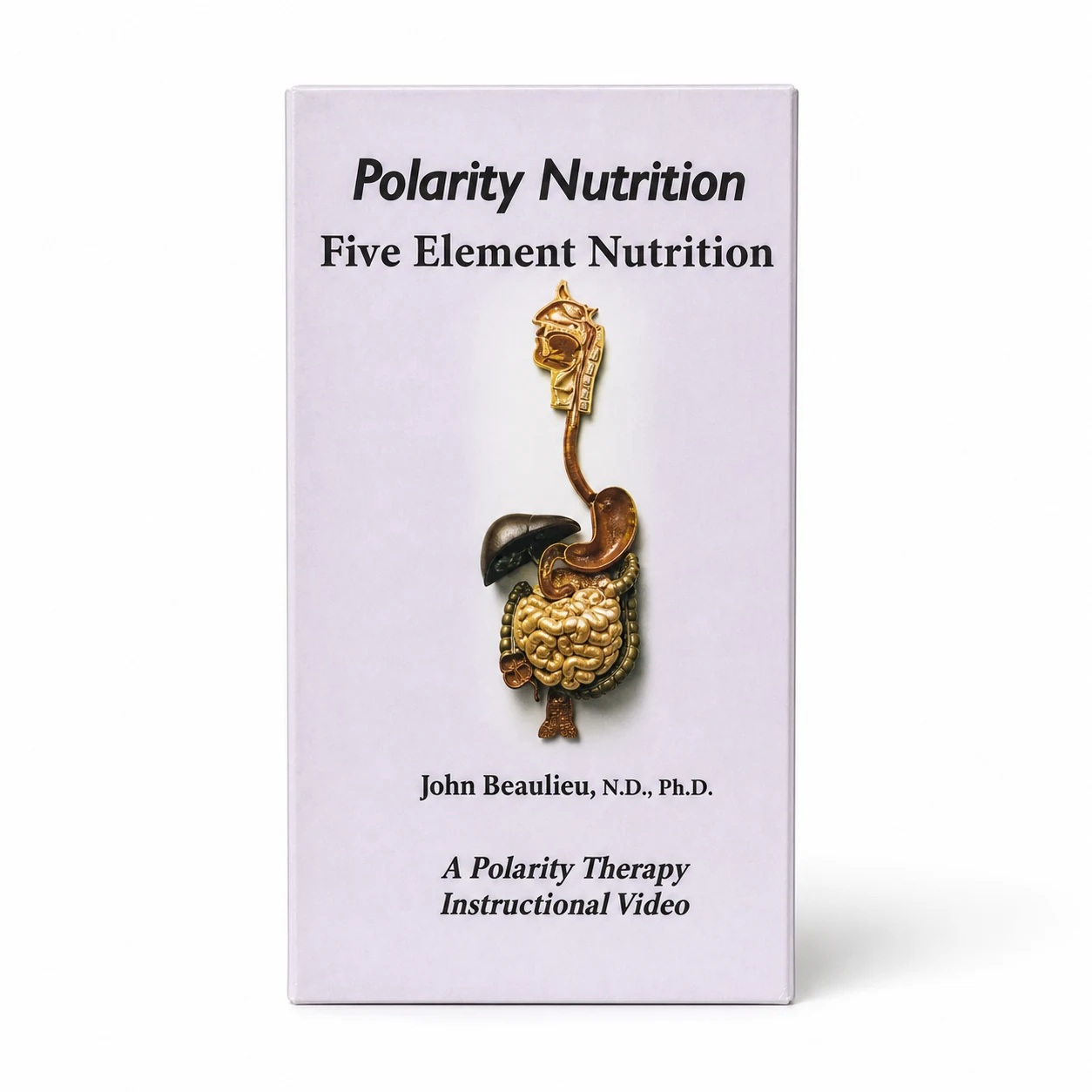 Five Element Nutrition in Class (Digital Download)