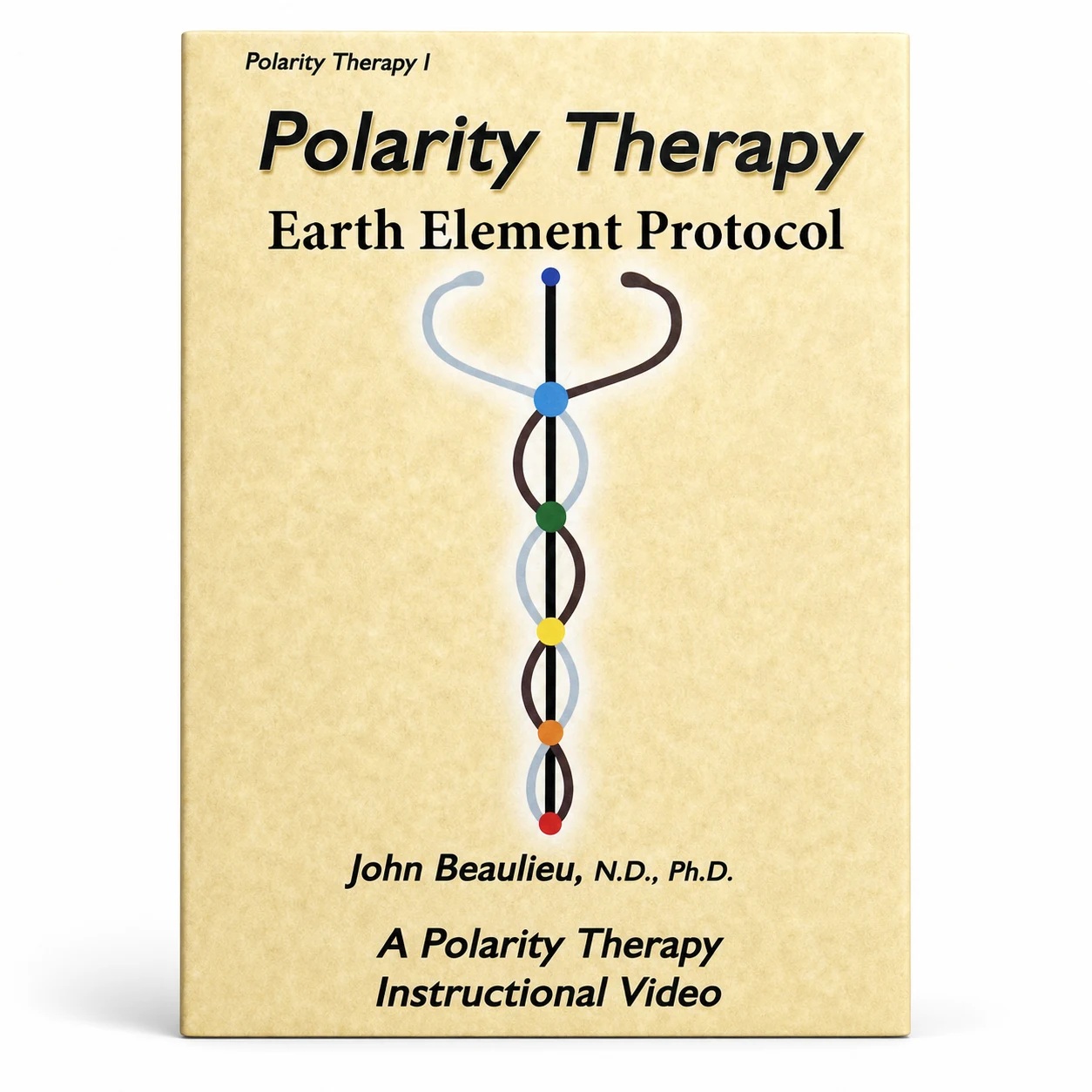 Earth Element Bodywork Protocol (Digital Download)
