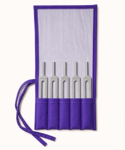 Biosonic Brain Tuners™