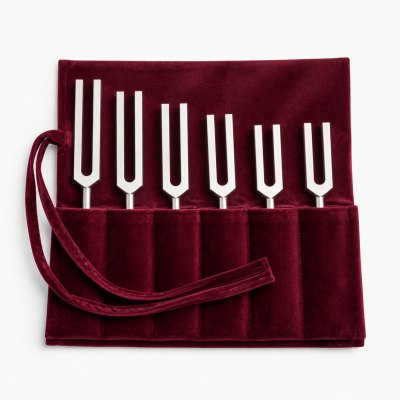 Solfeggio 396 — In a 6-fork set