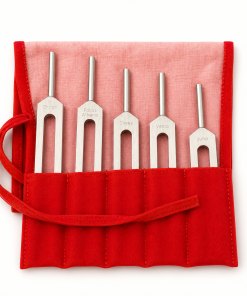 Asteroid Tuning Fork – “Set of 5” with Green pouch
