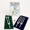 Beginner’s Special-“Otto 128”, Body Tuners – “C256 & G384”, Human Tuning book with the Clear Quartz “15mm” gem attachment on a clean BioSonics studio background